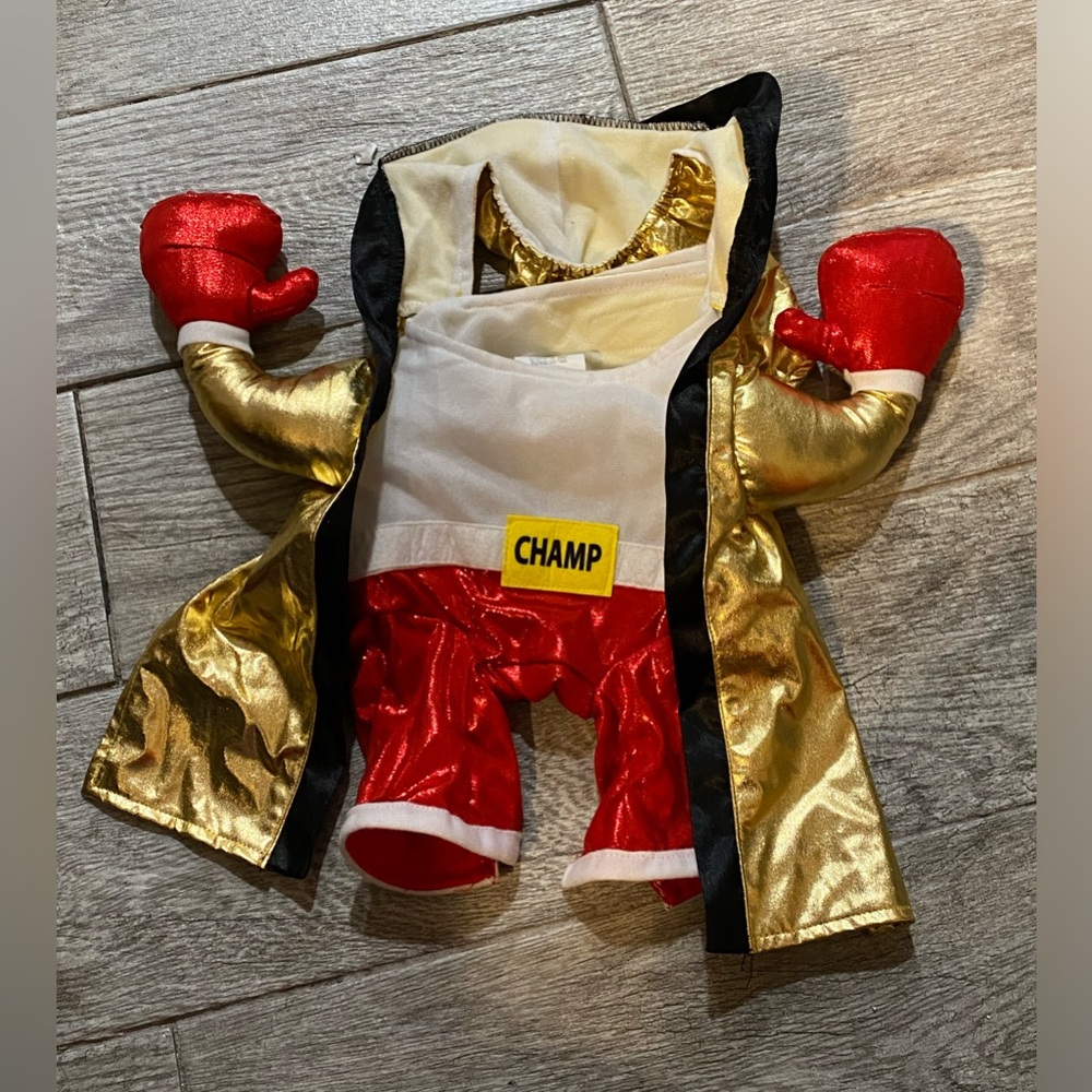 Pet Costume (C320)